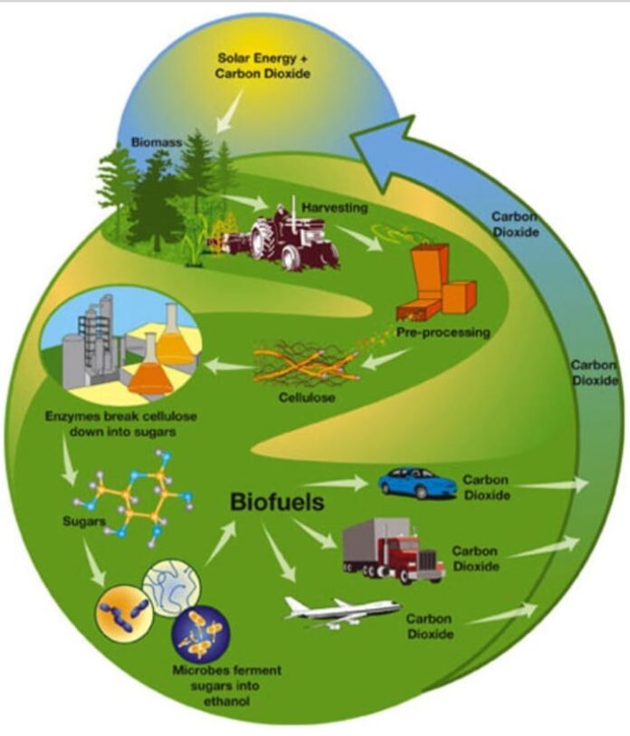 sustainable biomass