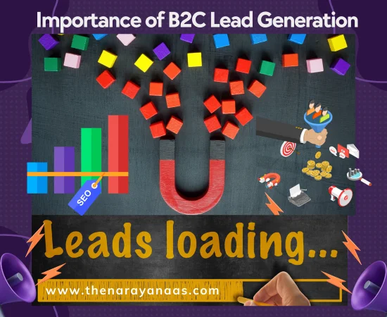 Importance of B2C Lead 