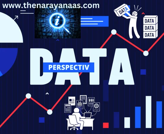 Data-Informed Perspectives